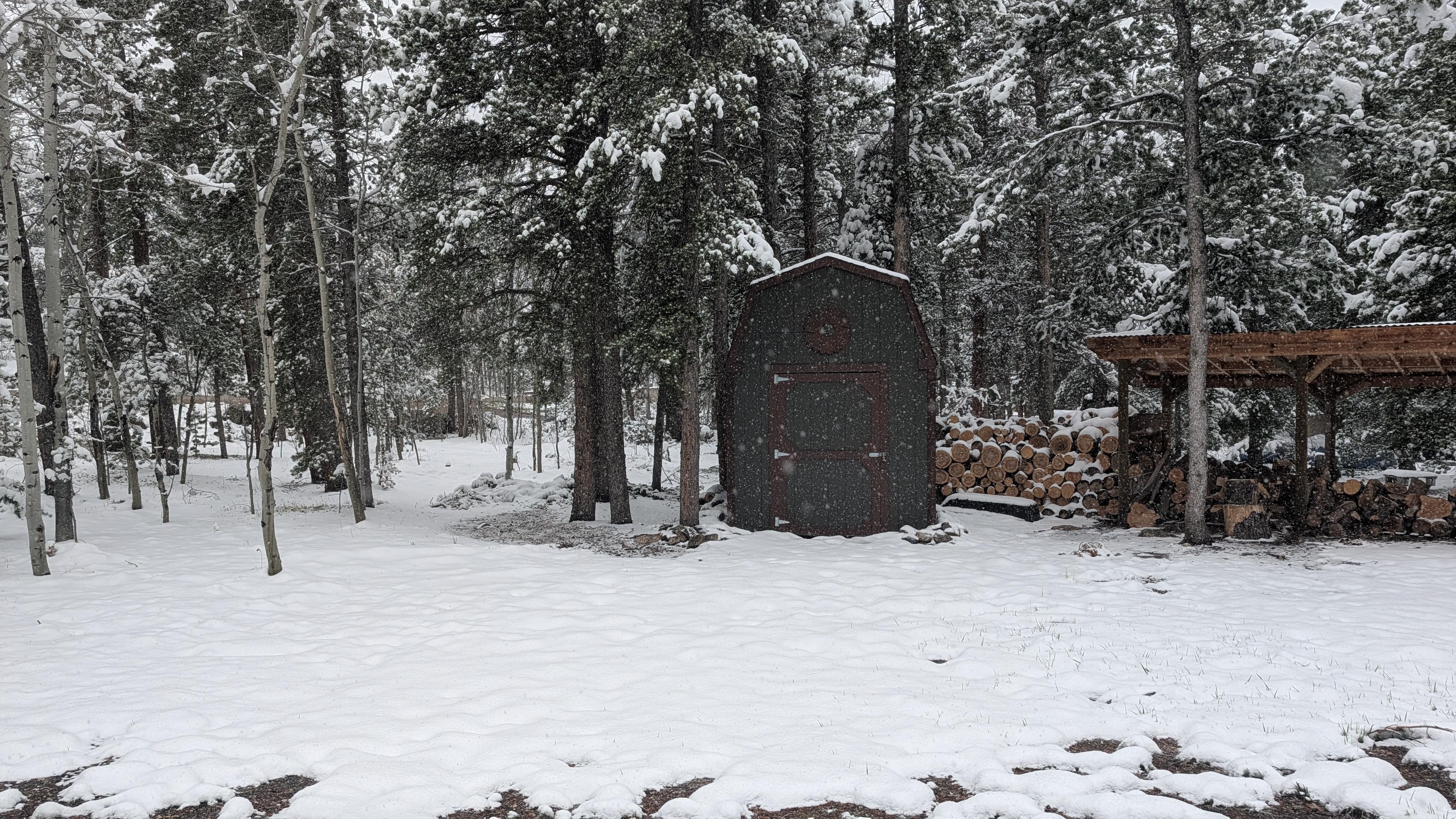 A spring?!?… wonderland!