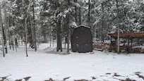 A spring?!?… wonderland!