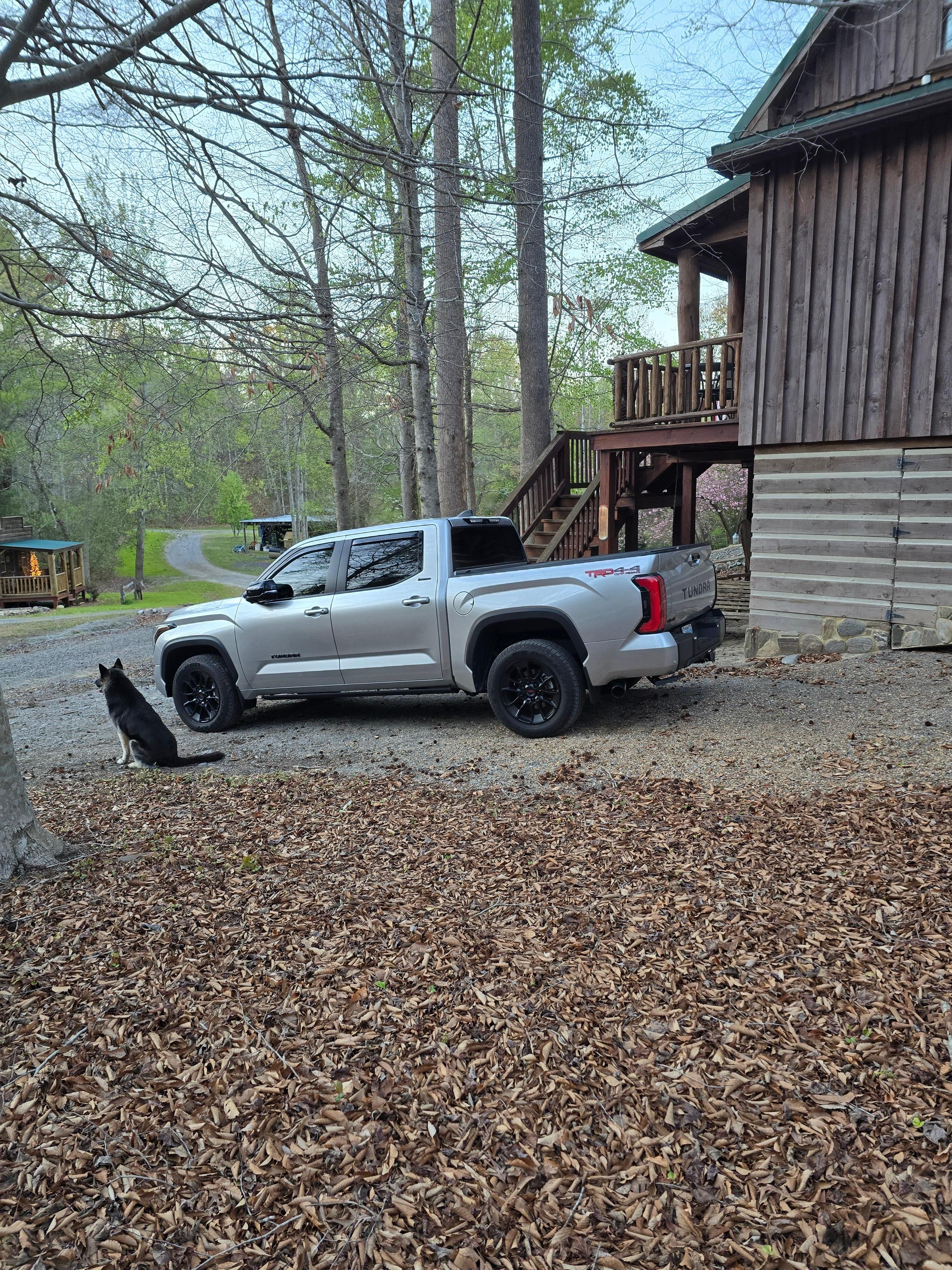 Axle keeping watch and scaring bears away.