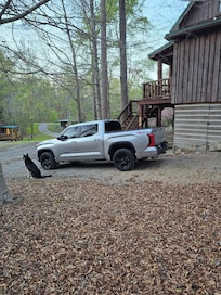 Axle keeping watch and scaring bears away.