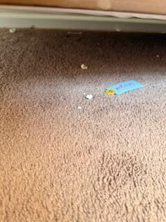 popcorn under the bed