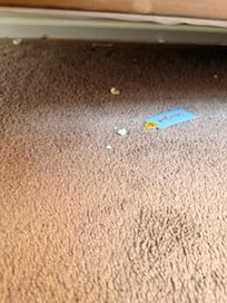 popcorn under the bed