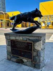 Iditarod StartLine