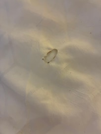 Stained / hole in bed covering