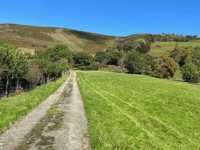 Track to the cottage