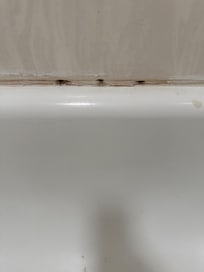 Mold.