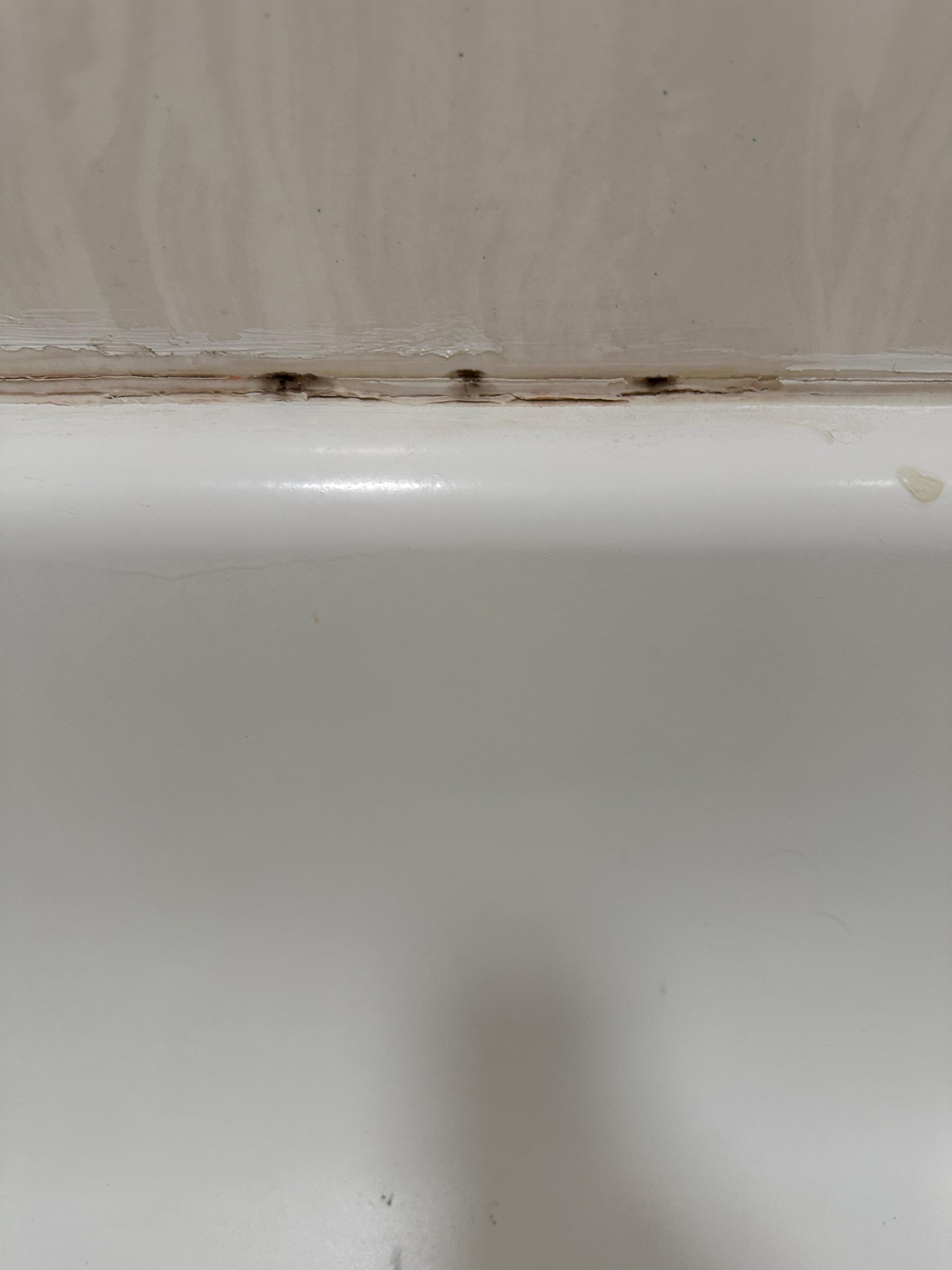 Mold.
