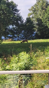 Direkt am Haus