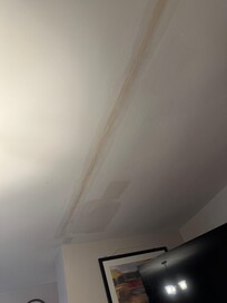Living room ceiling