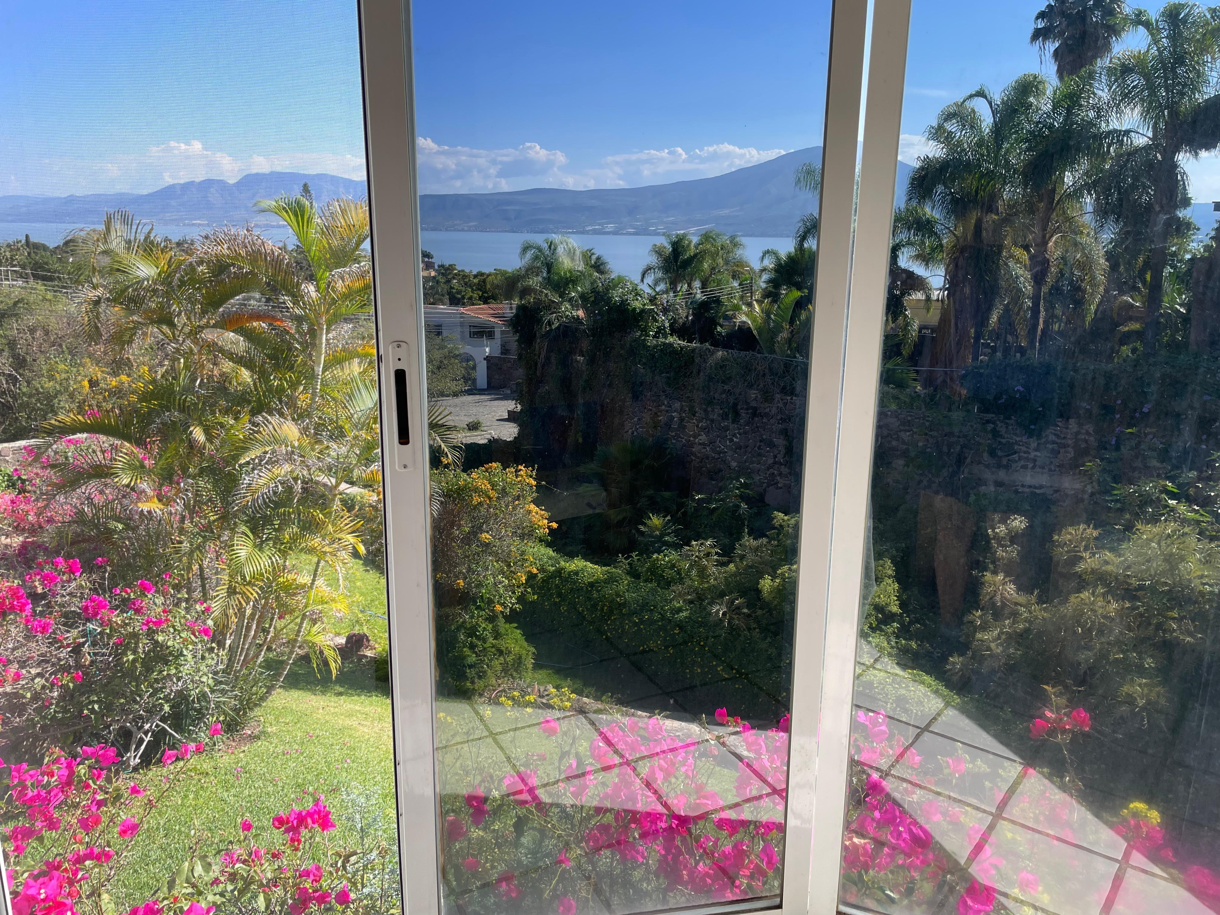 view from picture window