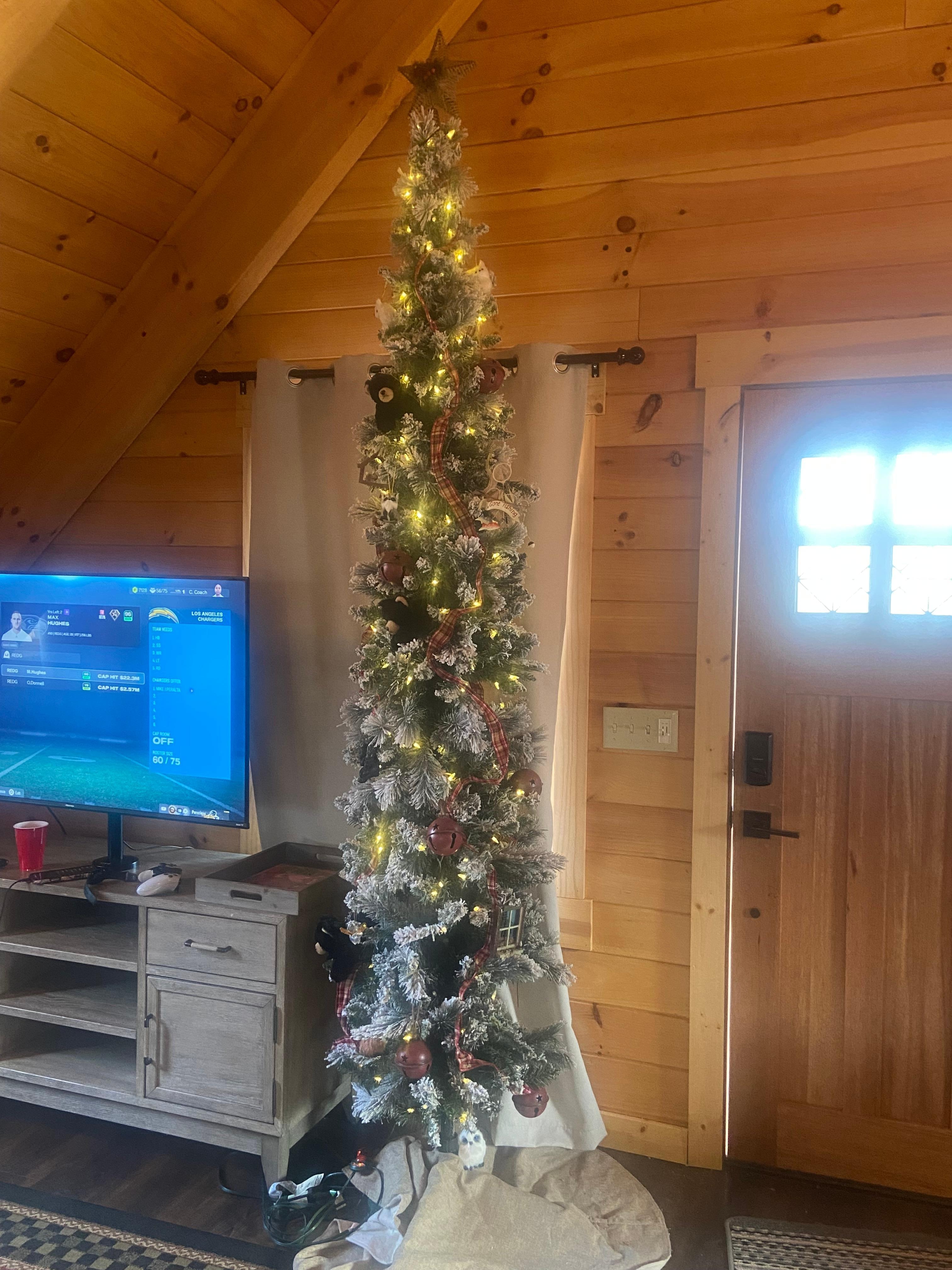 This tree was in the apartment above the game room in the 2nd cabin