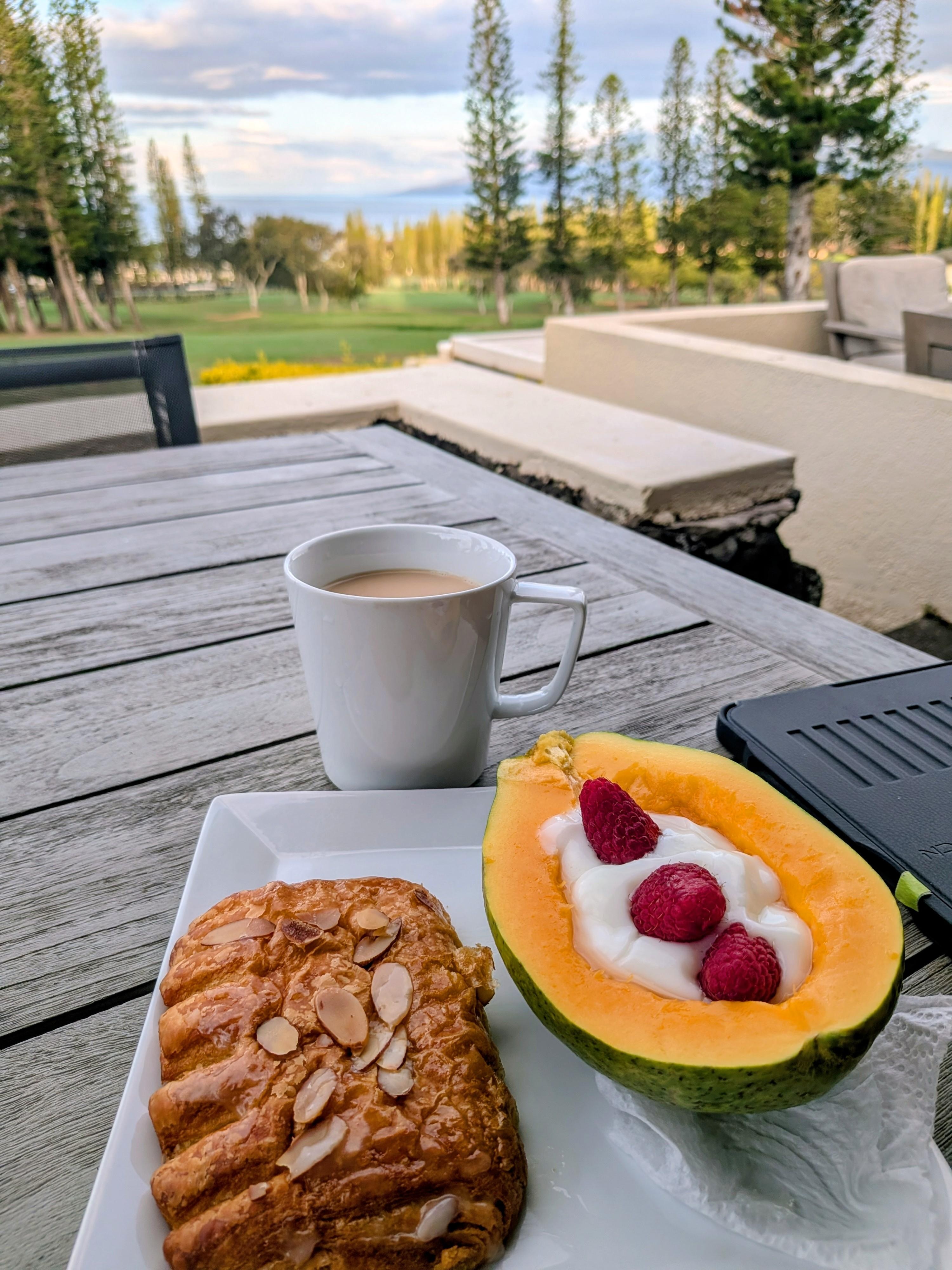 Breakfast views w visits from Hawaiian cardinals!