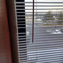 Window blinds and blackout curtains