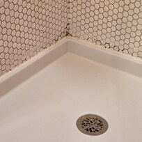 Mold