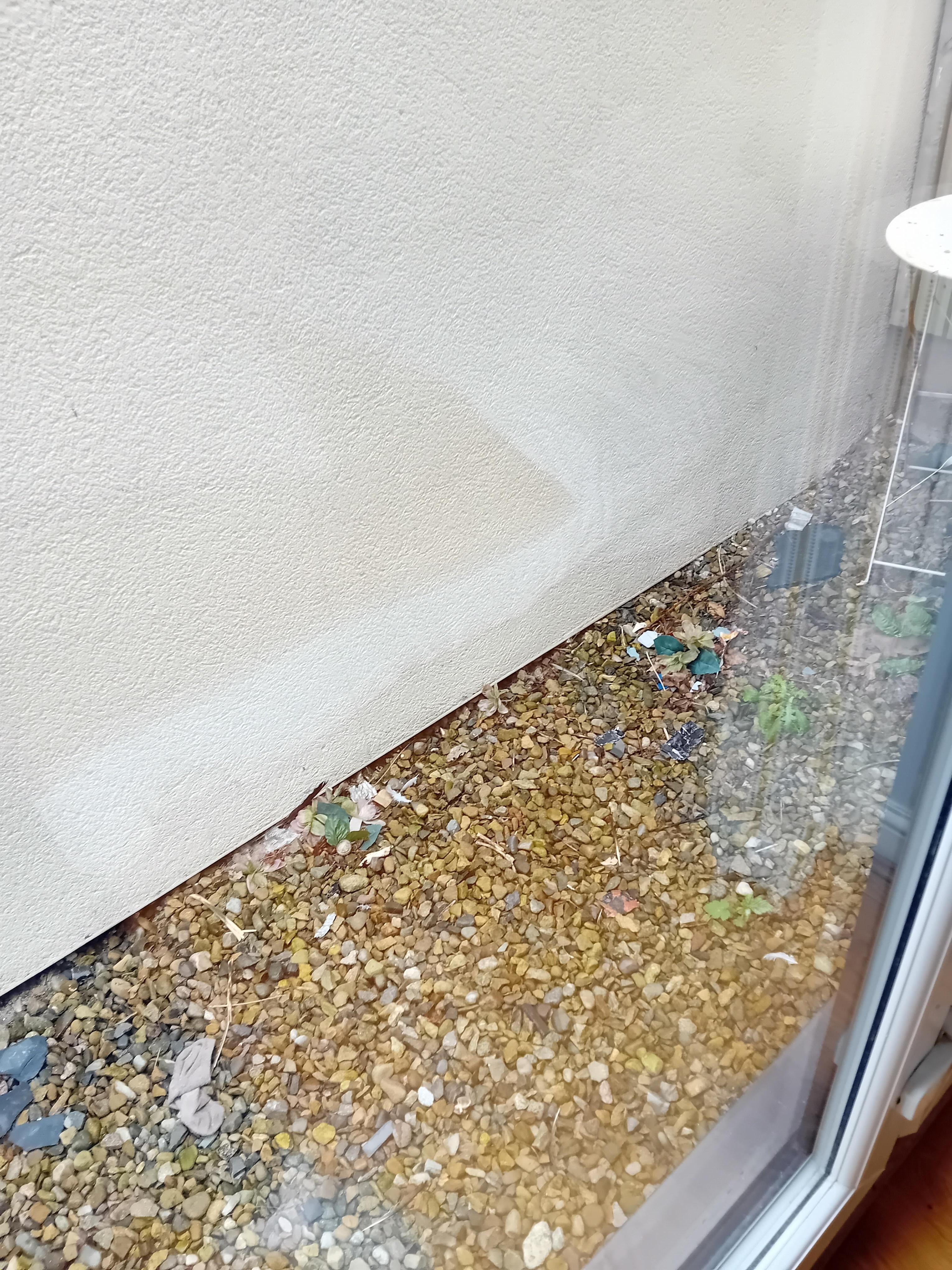 Outside patio area 2 feet wide, against a high wall.