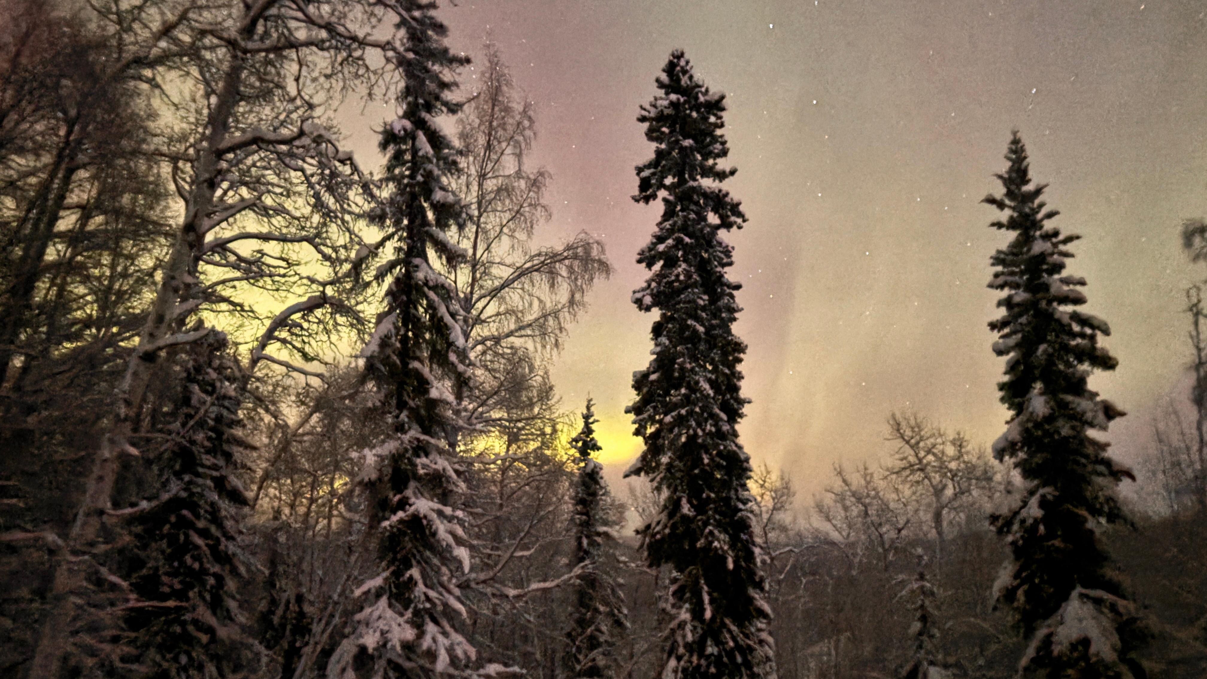 From the deck of the home
