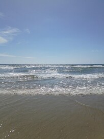 The ocean