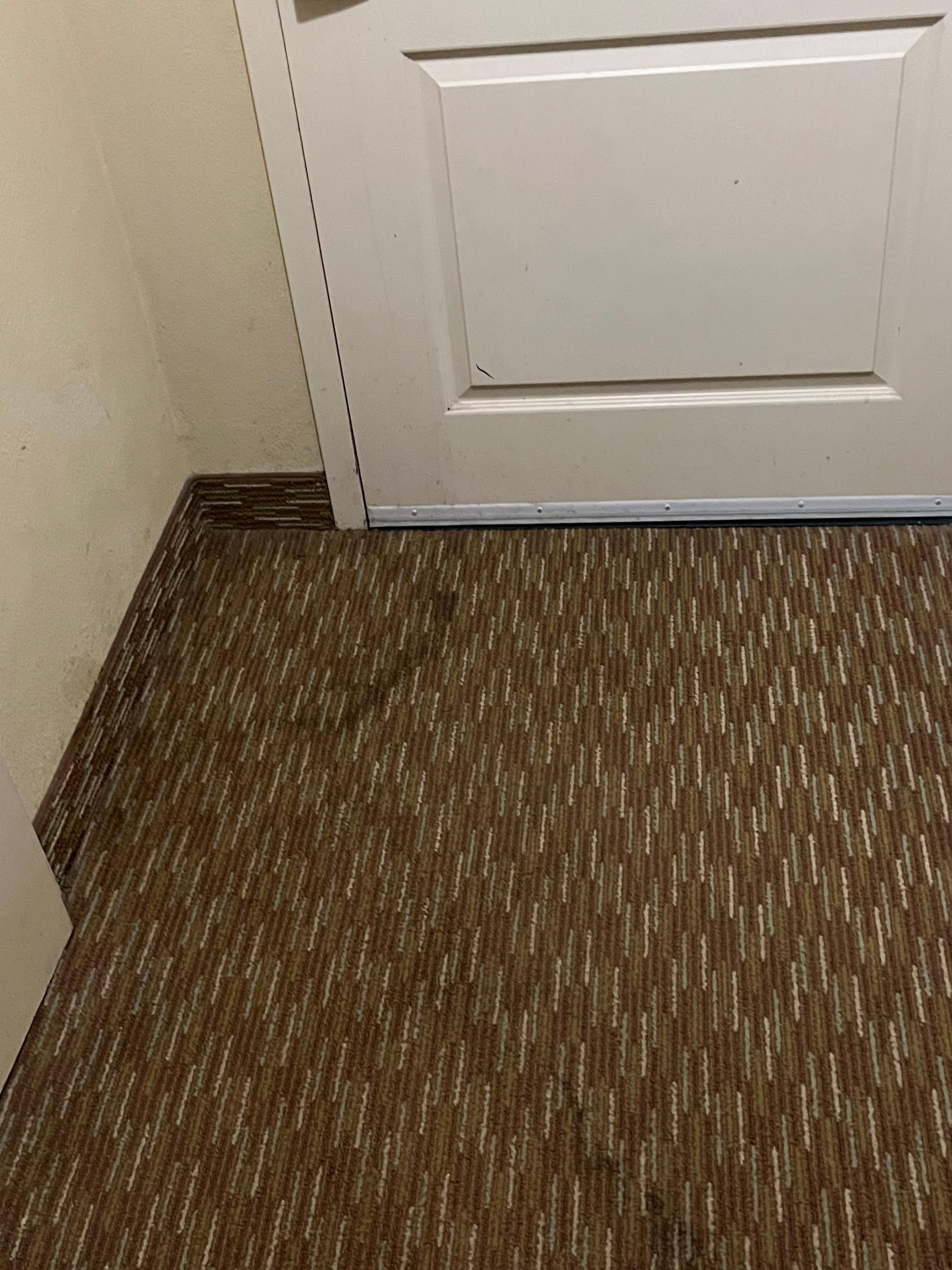 Stained carpet. I didn't take a picture of the dirty door. I couldn’t capture the drilling and banging  above my head from the construction or I would. 