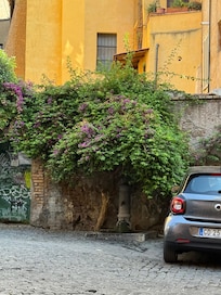 Nasone across the street