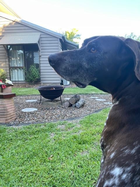 Light up the fire pit!