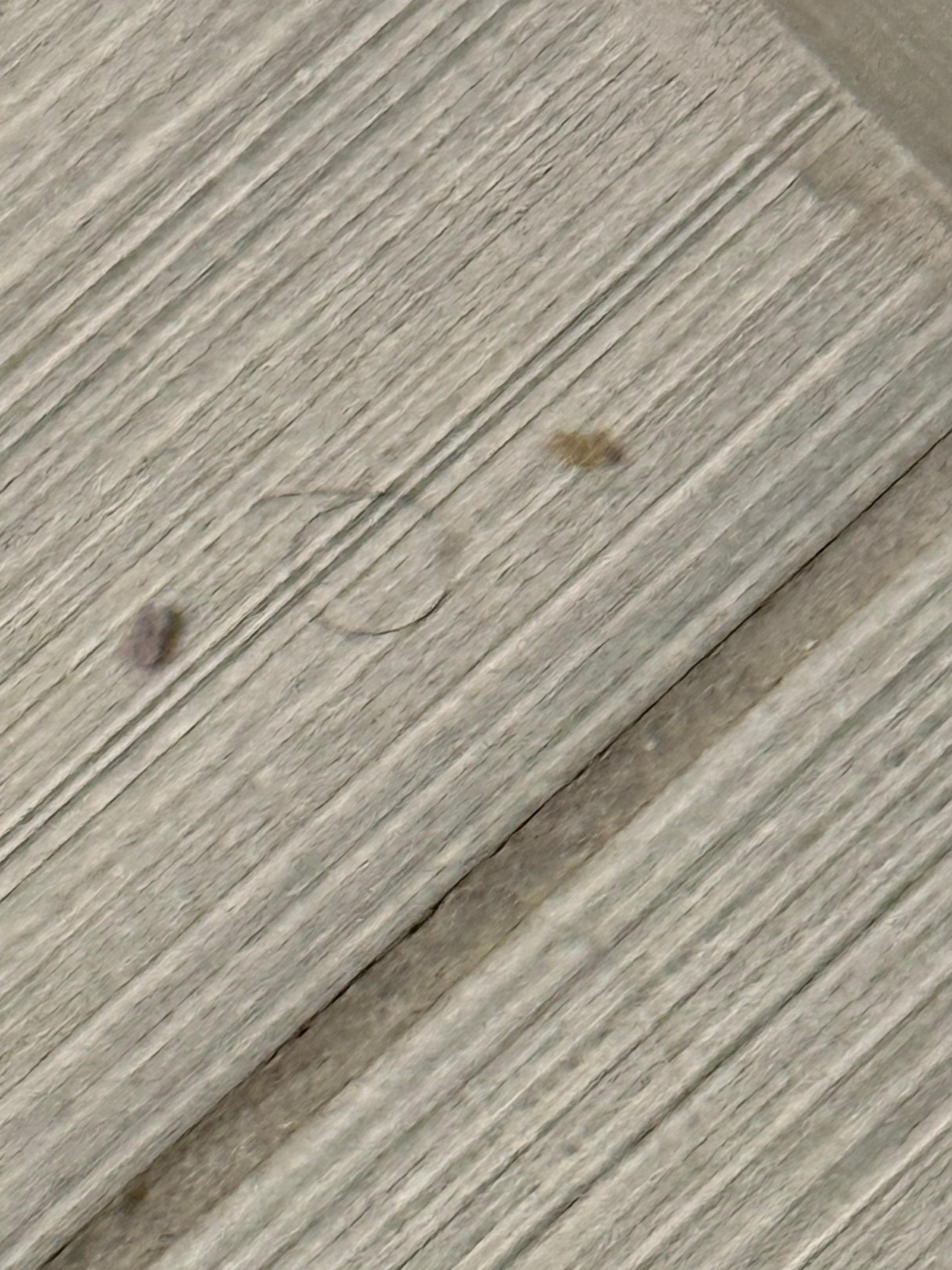 Hair/Dirt on the floor 