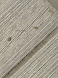 Hair/Dirt on the floor