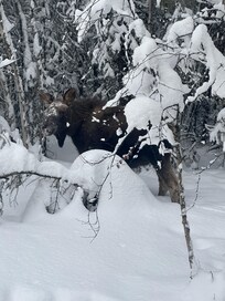 View from the kitchen window