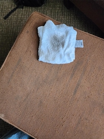 The worn out footrest for the chair in the room- and the rag showing how filthy my feet (after being washed just before bed and only walking around a bit to pack up and then washing before putting on my shoes) were from the floor.