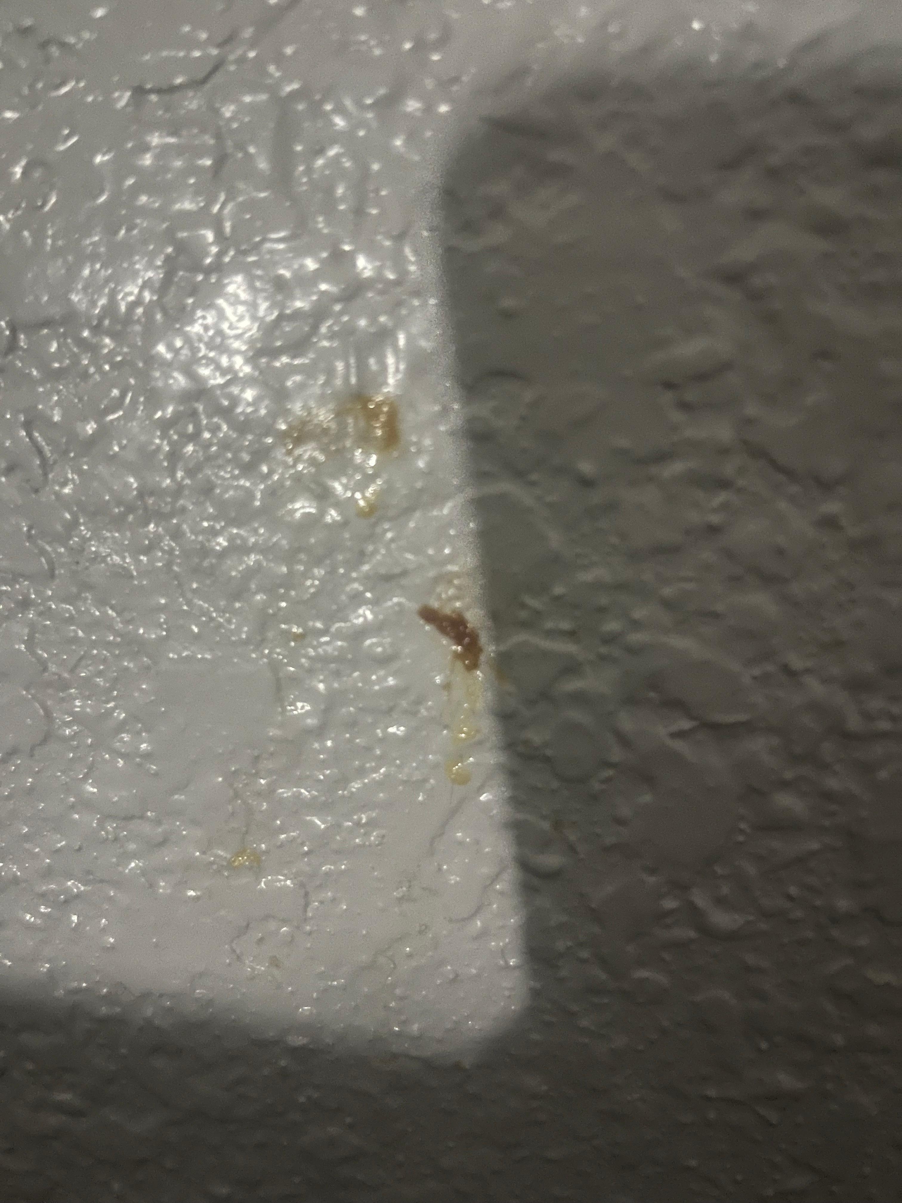 Walls stained with who’s knows what looks like snot 🤮🤮