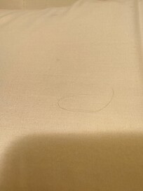 Hair on the pillow disgusting
