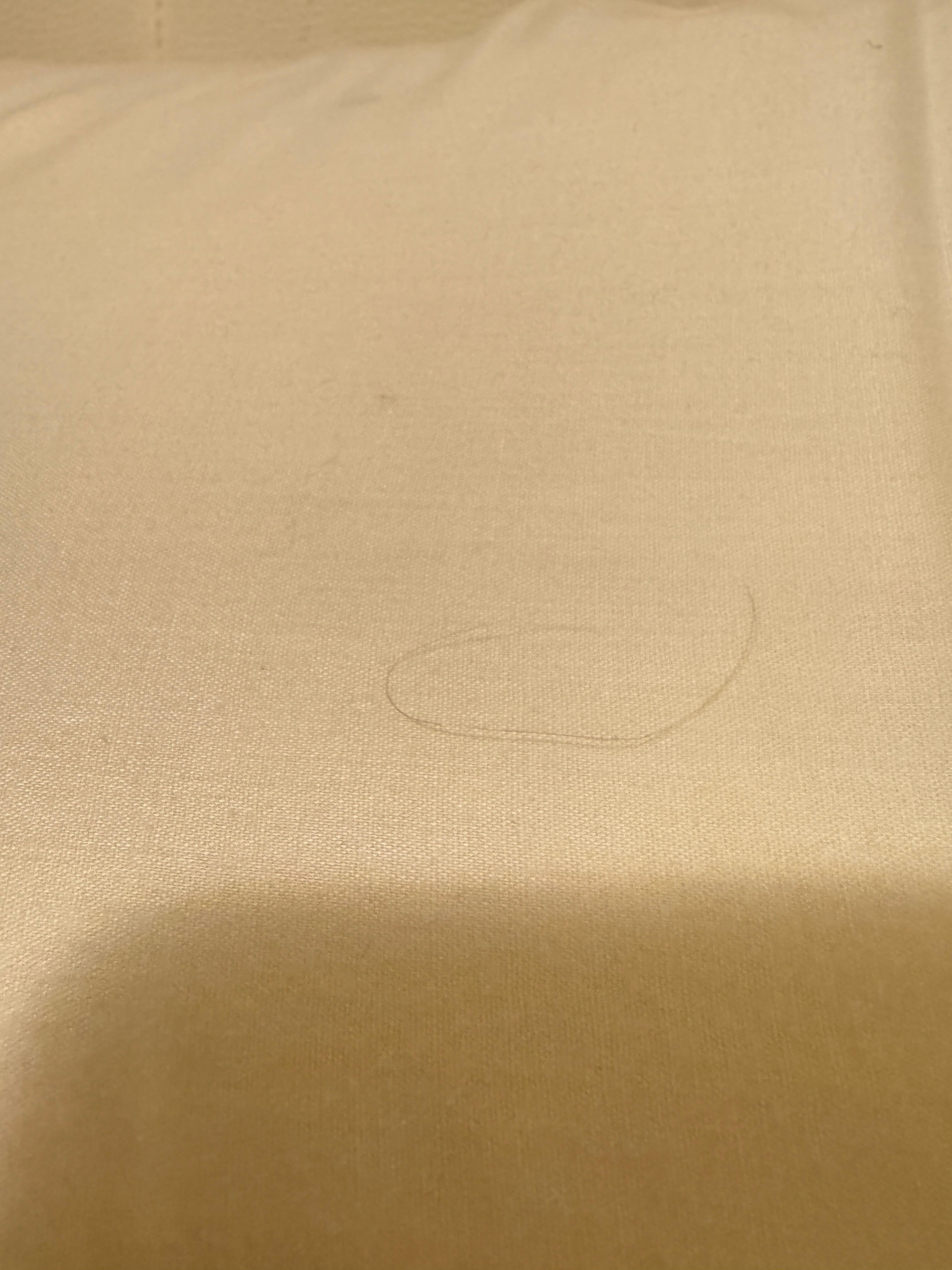 Hair on the pillow disgusting 