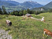 Wanderung zum Jenner
