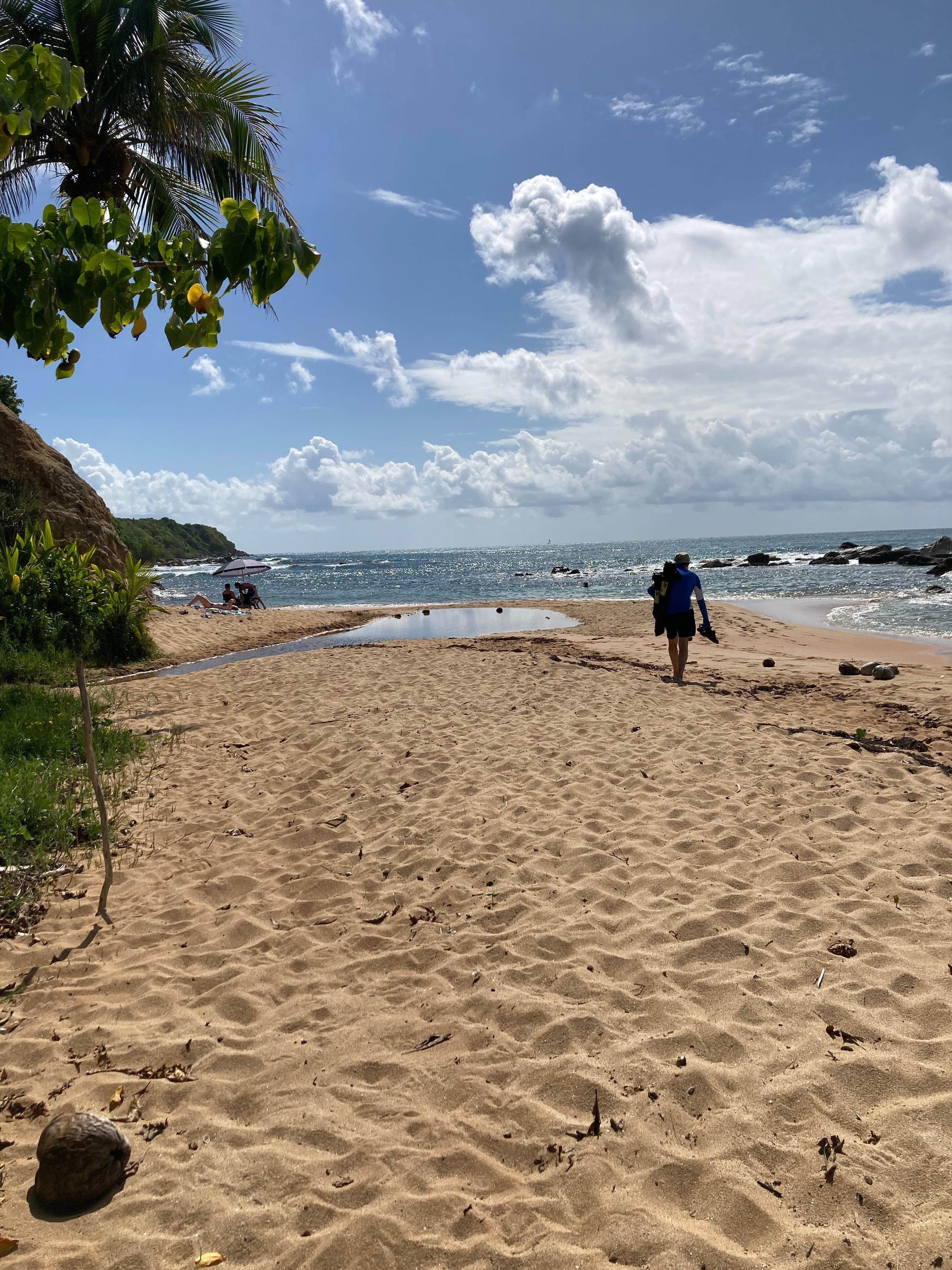 Beach just down the hill