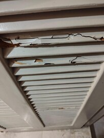 La puerta del baño super podrida en la parte media