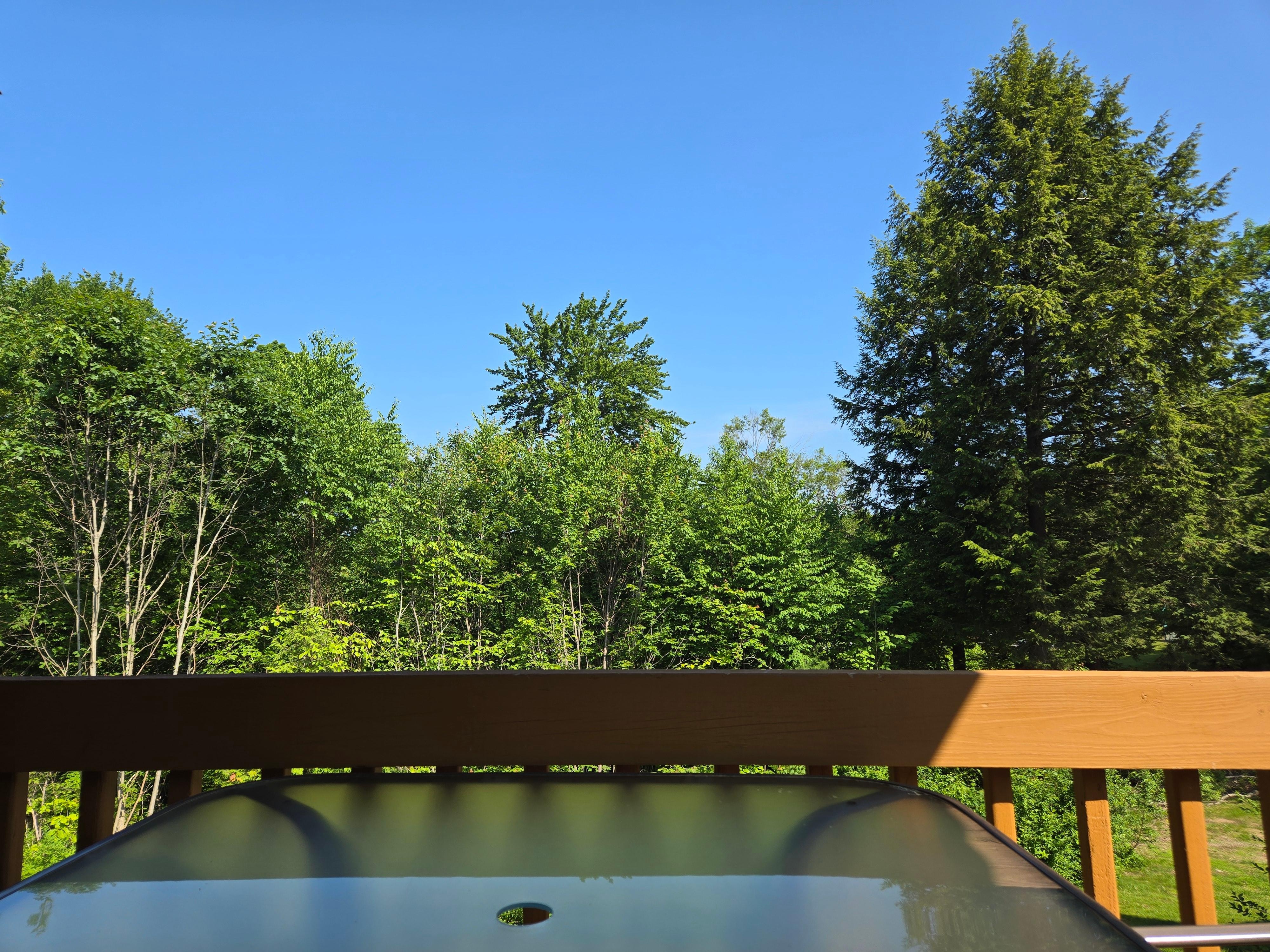 Deck view
