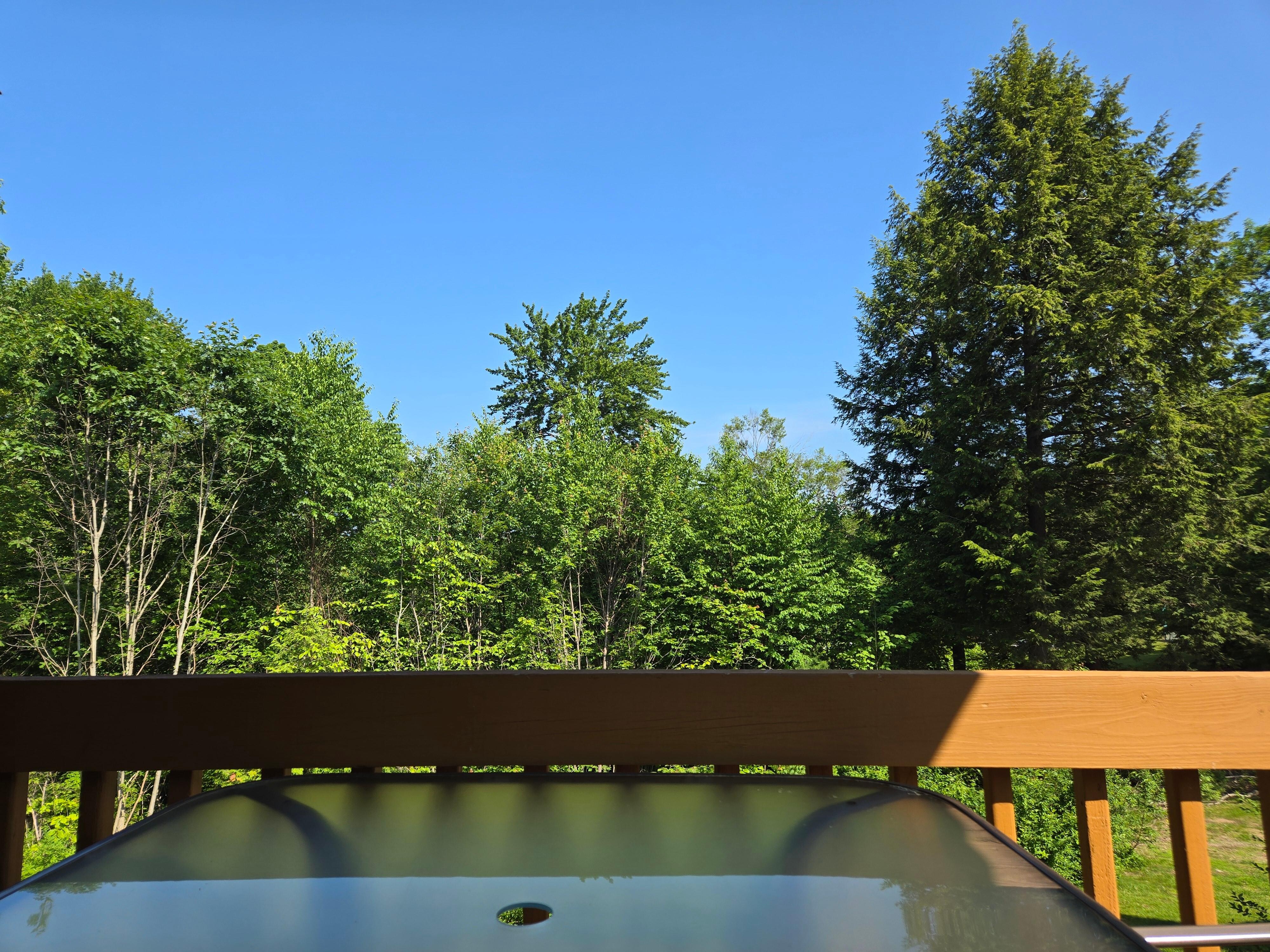 Deck view