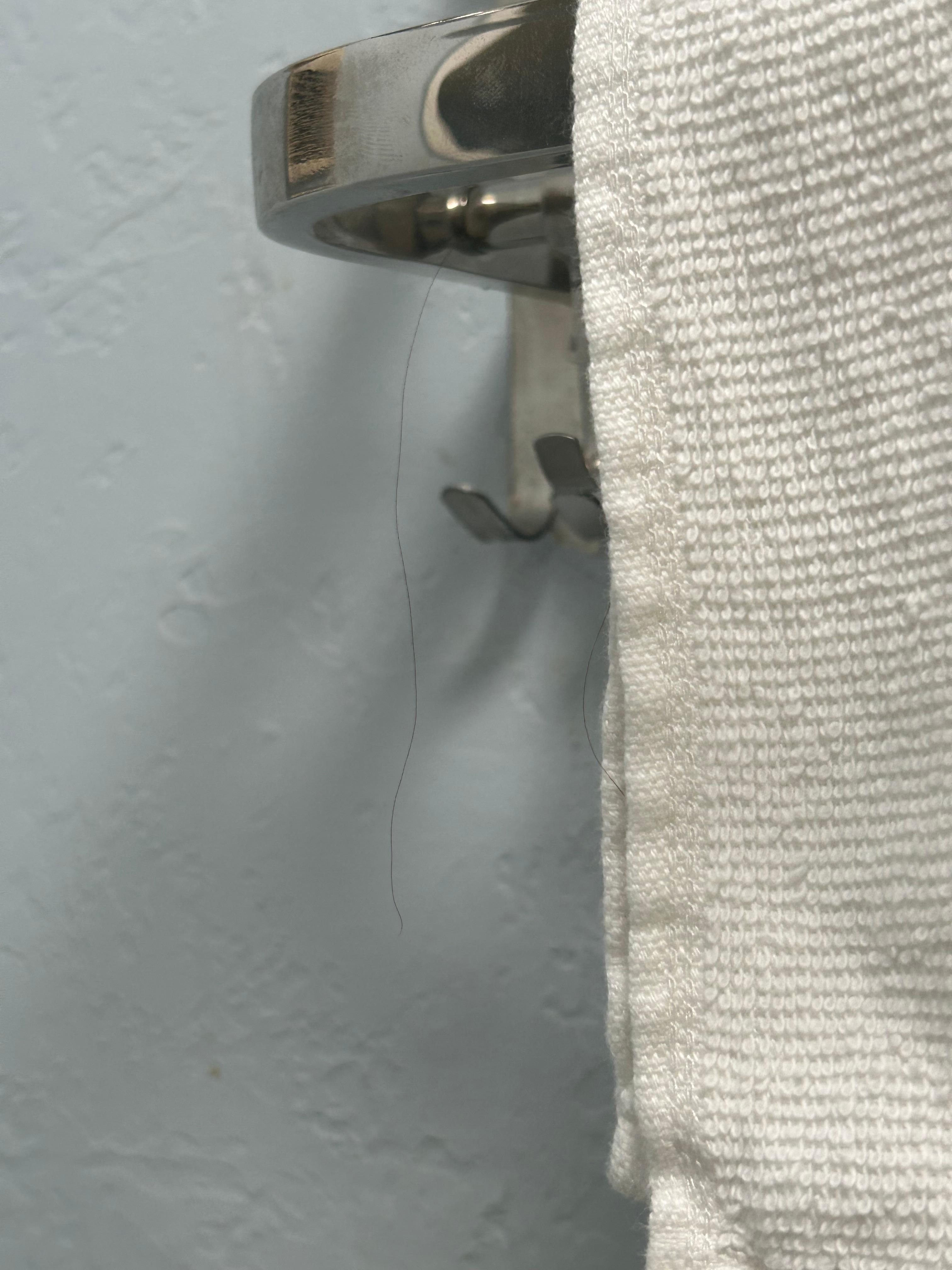 A hair hanging off the washcloth in the bathroom. Also they had no bath towels in there, not that I wanted to use the shower.
