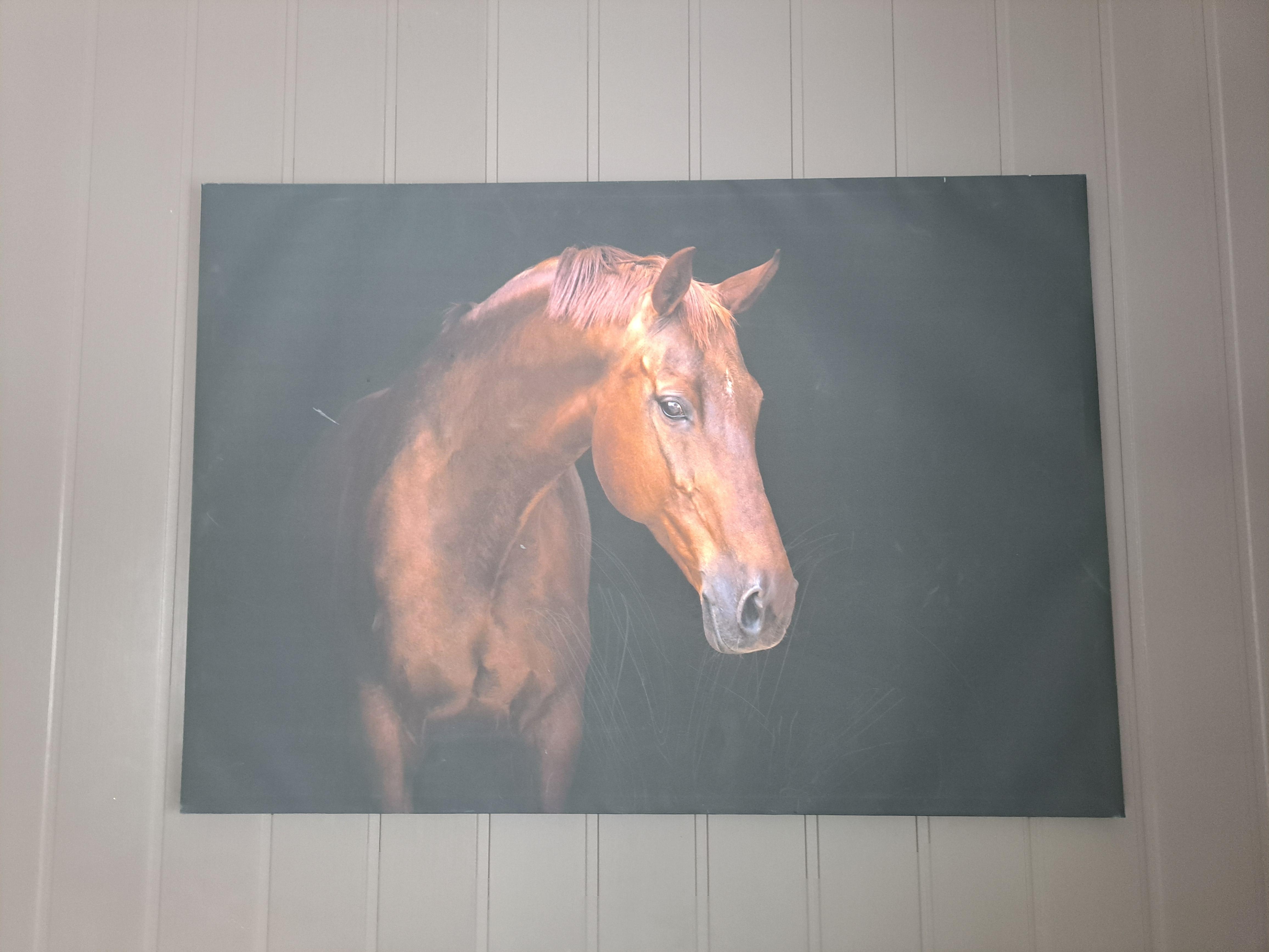 Koselig bilfe i hytta!