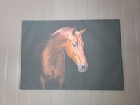 Koselig bilfe i hytta!