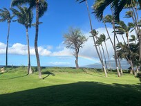 Right outside our patio.