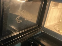 Molded microwave