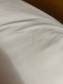Dirty sheets with hair