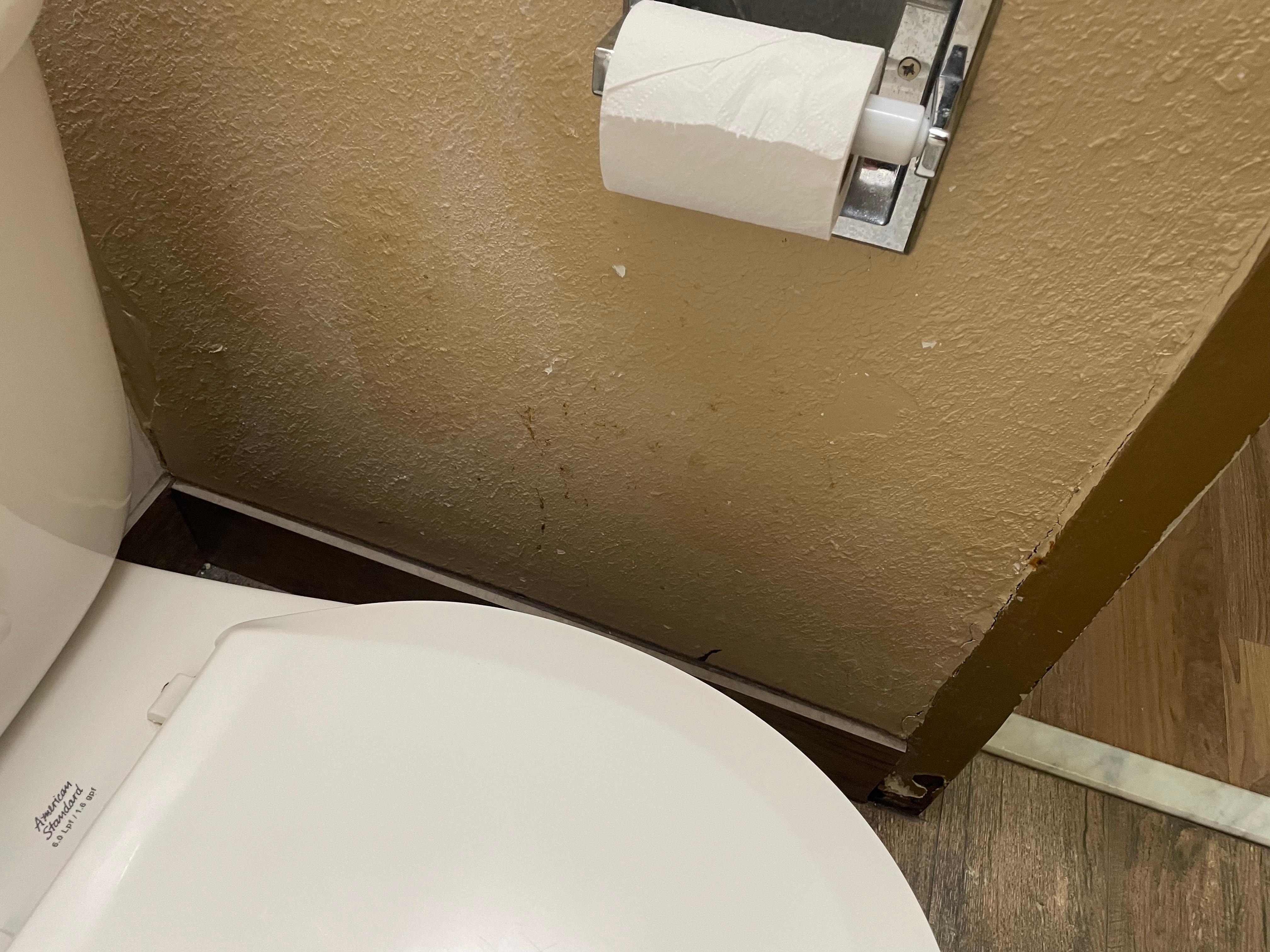 Fecal spray on wall