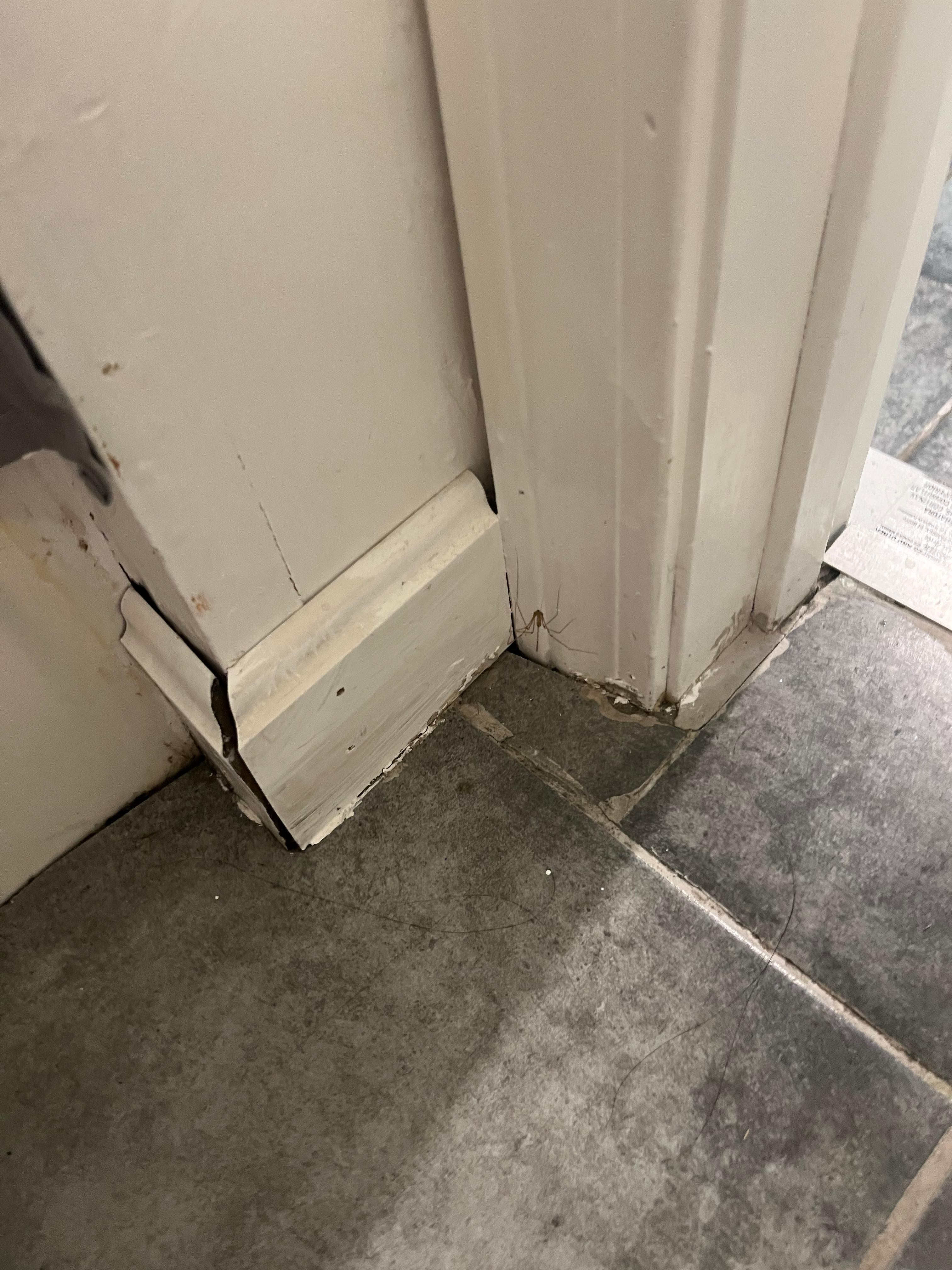 Overall disheveled appearance of property 