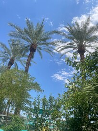 This is your view every morning as soon as you walk out the plaza