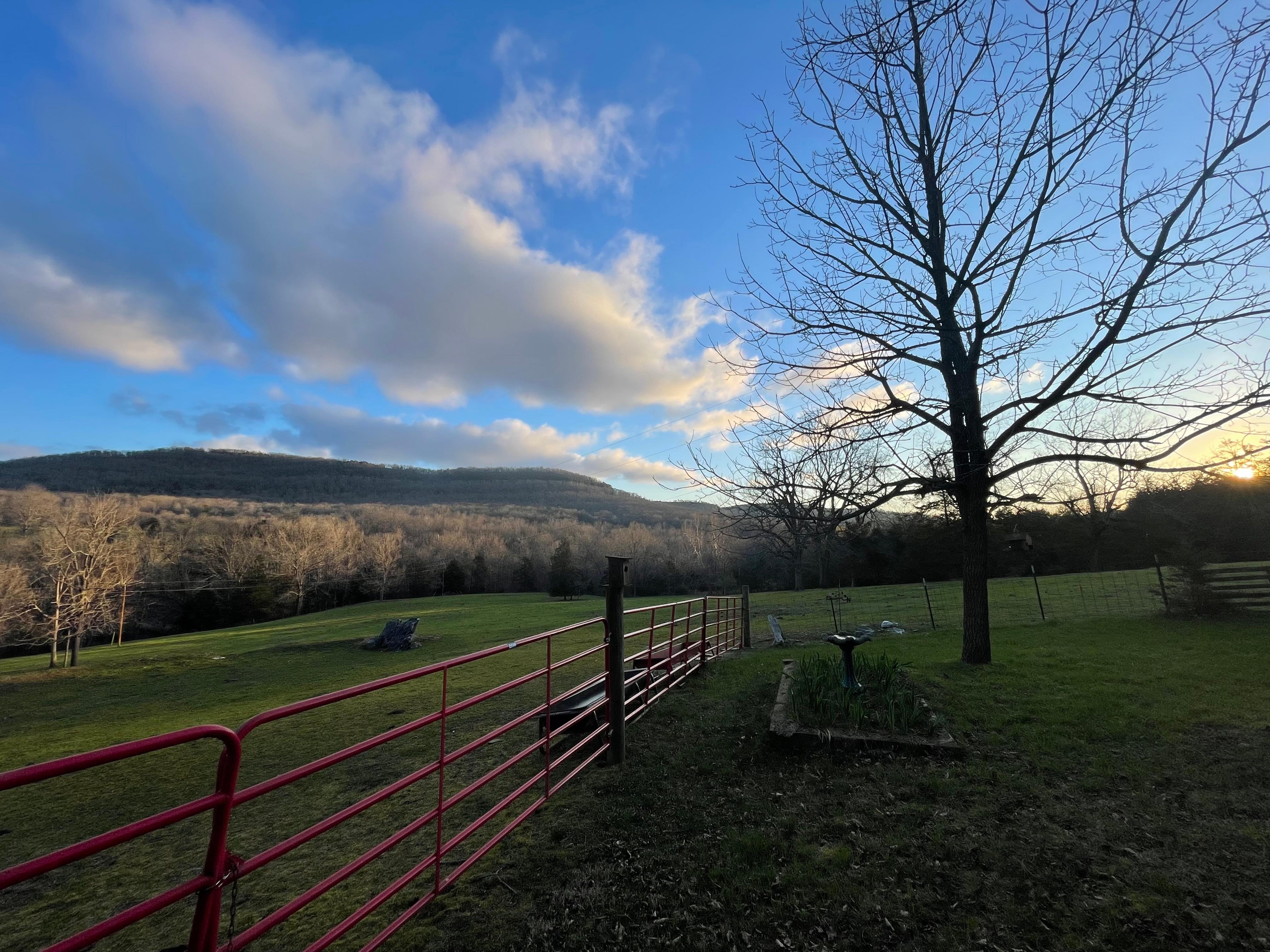 Such a gorgeous morning view