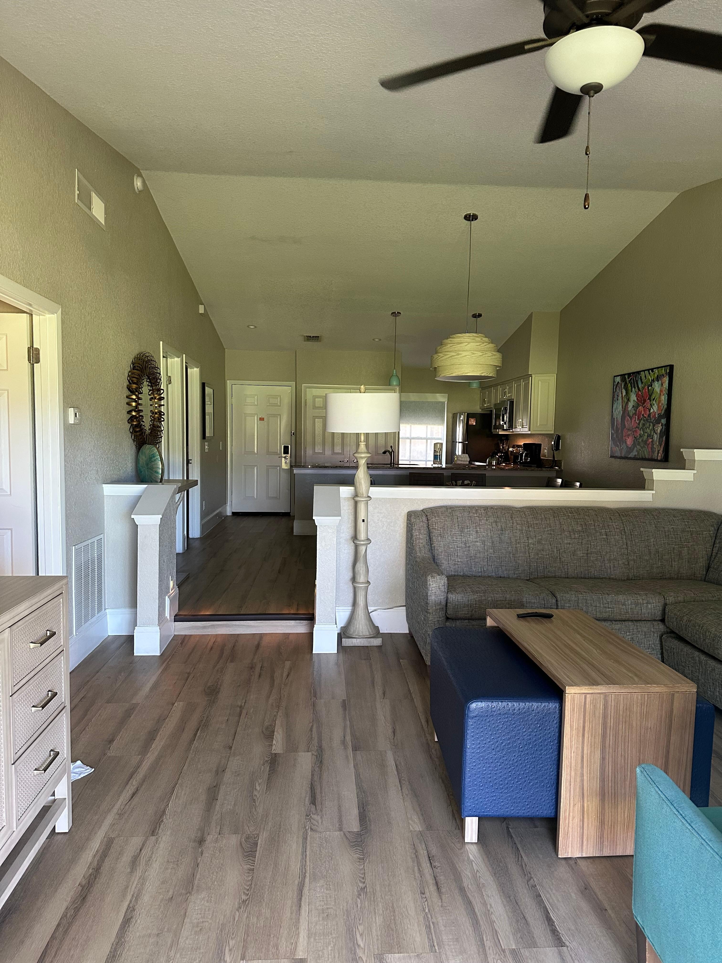 Living room and kitchen in the back 