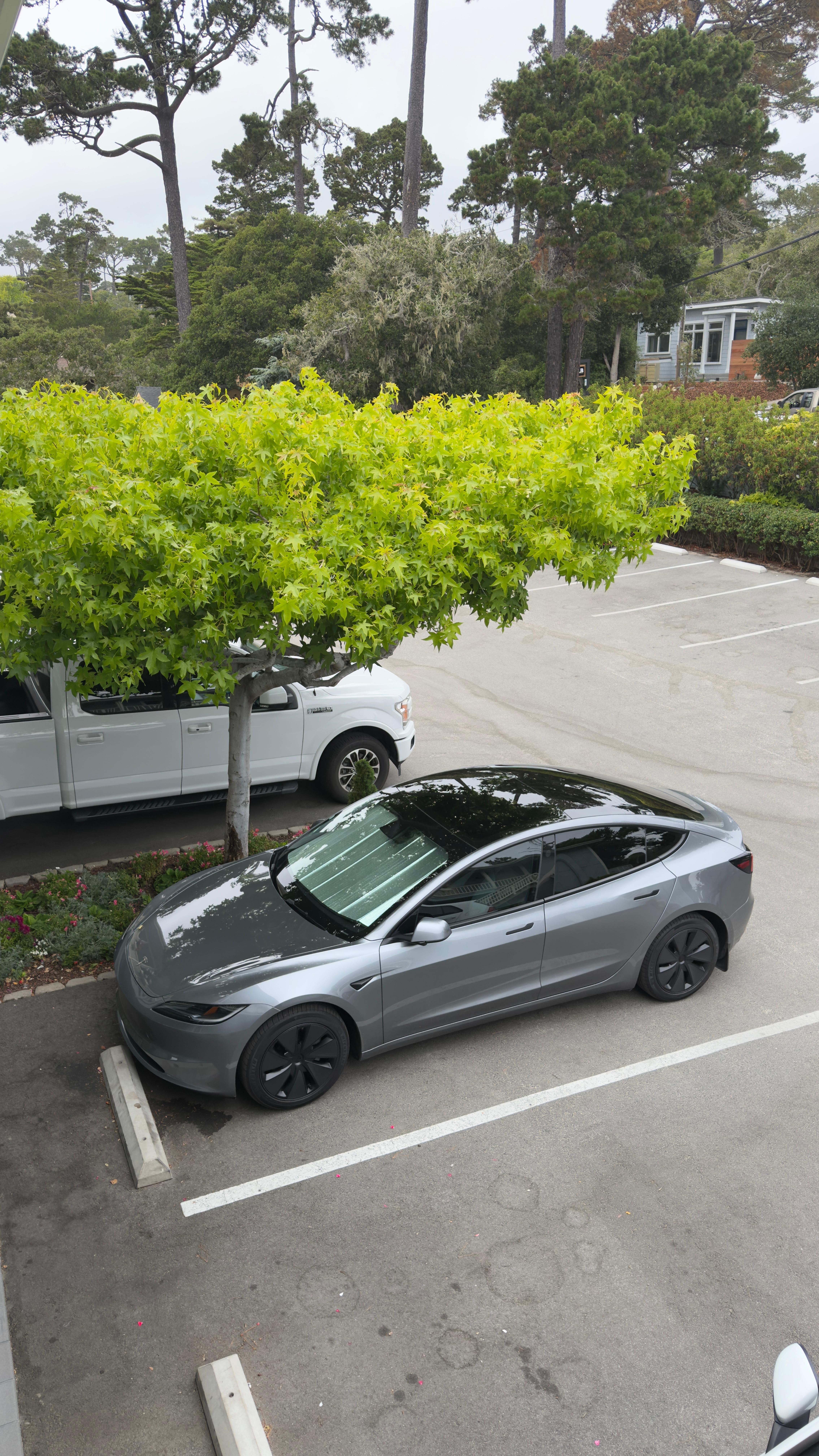Plenty of on property parking