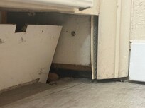 Broken floor boards with trash and beer caps