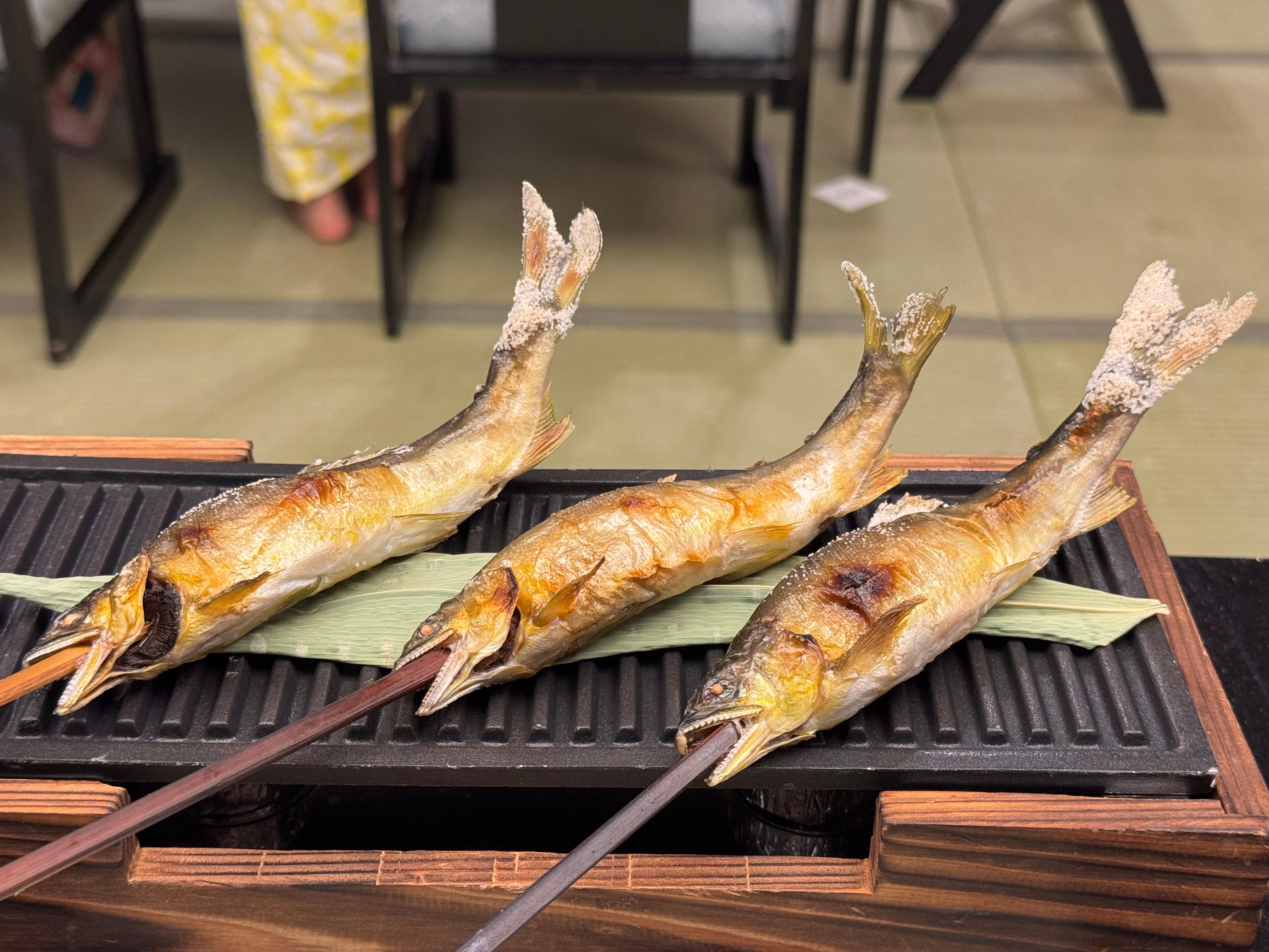 The grilled fish is nice